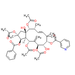 Jatrophane 5 结构式