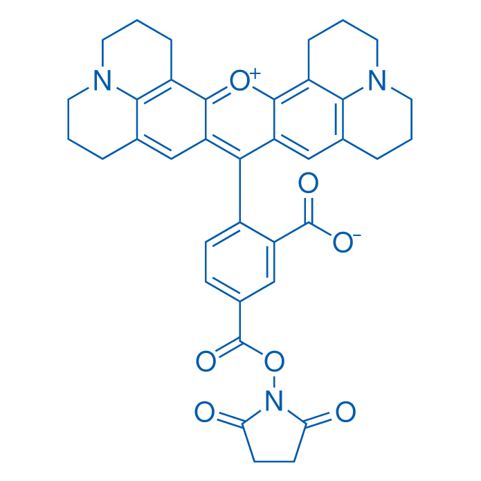 5-羧基-X-罗丹明琥珀酰亚胺酯 结构式