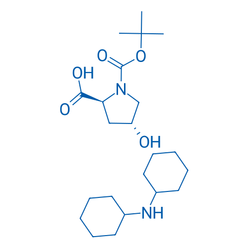 Boc-反式-4-羟基-L-脯氨酸二环己胺盐 结构式
