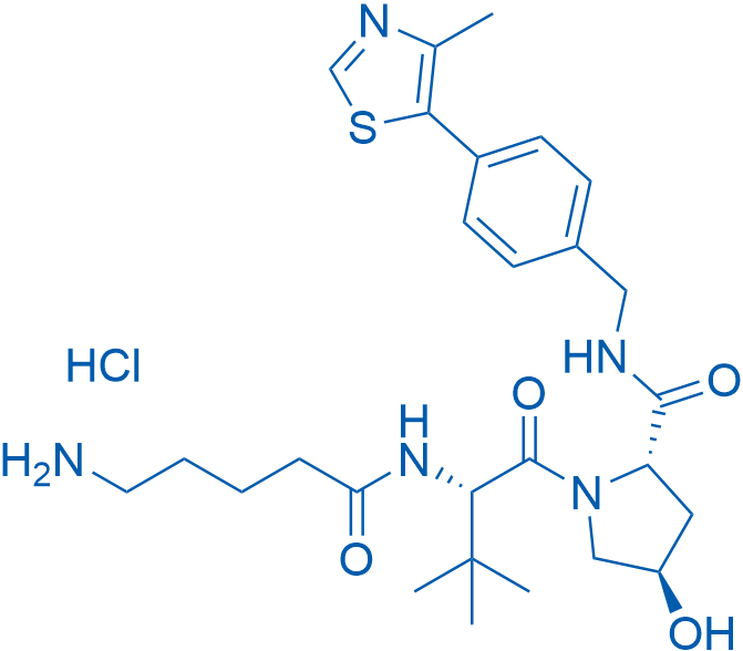 (2S,4R)-1-((S)-2-(5-氨基戊氨基)-3,3-二甲基丁酰基)-4-羟基-N-(4-(4-甲基噻唑-5-基)苄基)吡咯烷-2-甲酰胺盐酸盐 结构式