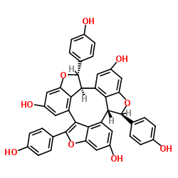 Caraphenol A 结构式