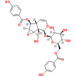 6'-O-对羟基苯甲酰基梓甙 结构式