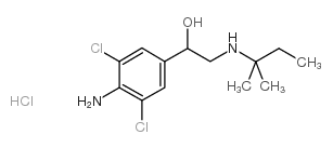 盐酸克伦潘特 结构式