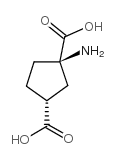 (+/-)-1-氨基环戊烷-顺式-1,3-二羧酸 结构式