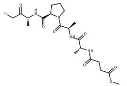 弹性蛋白酶（猪胰） 结构式