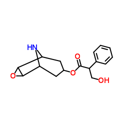 去甲东莨菪碱 结构式
