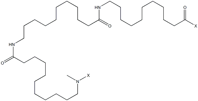 11-氨基十一烷酸均聚物 结构式