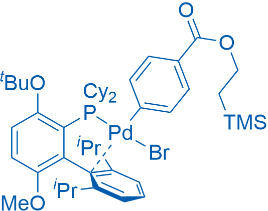 [2-(二环己基膦)-3-叔丁氧基-6-甲氧基-2',6'-二异丙基-1,1'-联苯](4-((2-(三甲基硅基)乙氧基)羰基)苯基-1-基)溴化钯 结构式