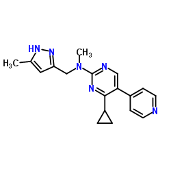 聚(甲基丙烯酸叔丁酯) 结构式