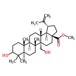 3,27-二羟基-20(29)-羽扇豆烯-28-酸甲酯 结构式