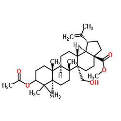 3-乙酰氧基-27-羟基-20(29)-羽扇烯-28-羧酸甲酯 结构式