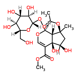 Phlorigidoside B 结构式