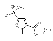 3-叔丁基-1H吡唑-5-甲酸乙酯 结构式