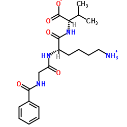 N-苯甲酰基甘氨酰-L-赖氨酰-L-缬氨酸 结构式