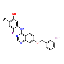 5-((7-苄氧基喹唑啉-4-基)氨基)-4-氟-2-甲基苯酚盐酸盐 结构式