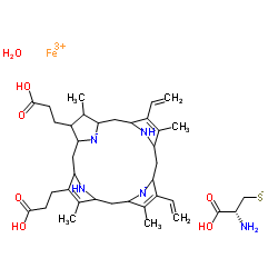 Cytochrome P450 2D6 结构式