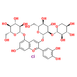 矢车菊素-3-O-桑布双糖苷-5-O-葡萄糖苷氯化物 结构式