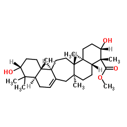 垂石松酸A甲酯 结构式