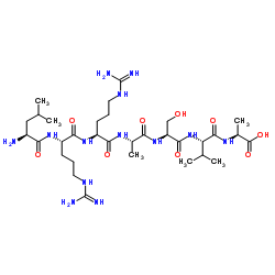 L-亮氨酰-L-精氨酰-L-精氨酰-L-丙氨酰-L-丝氨酰-L-缬氨酰-L-丙氨酸 结构式