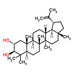 2α-羟基羽扇豆醇 结构式