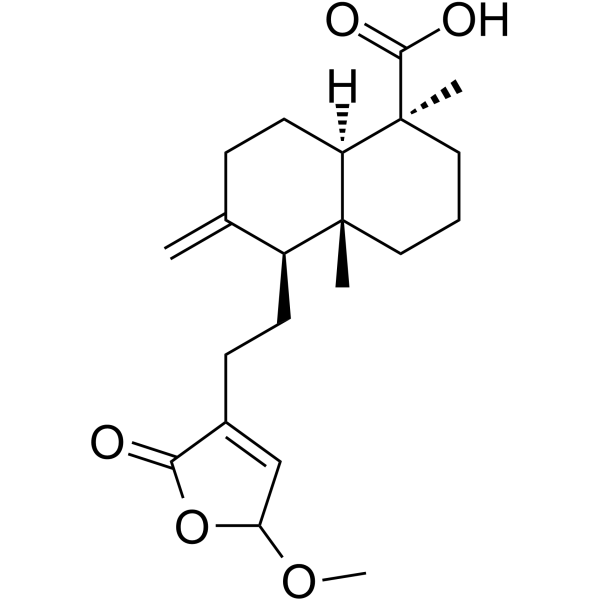 15-甲氧基松柏酸 结构式