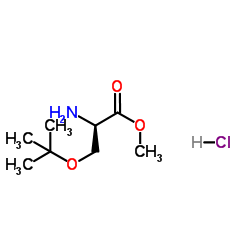 (R)-2-氨基-3-(叔丁氧基)丙酸甲酯盐酸盐 结构式