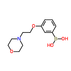 3-(2-吗啉代乙氧基)苯基硼酸 结构式