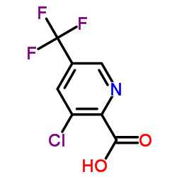 3-氯-5-三氟甲基吡啶-2-甲酸 结构式