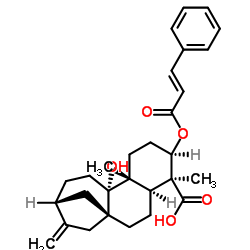 3α-肉桂酰氧基-9β-羟基-对映-贝壳杉-16-烯-19-酸 结构式
