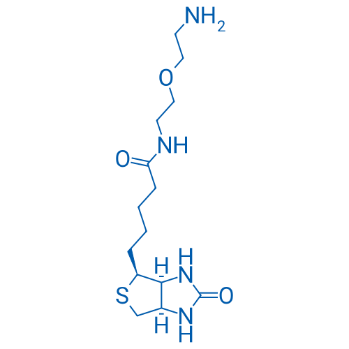 N-(2-(2-氨基乙氧基)乙基)-5-((3aS,4S,6aR)-2-氧代六氢-1H-噻吩并[3,4-d]咪唑-4-基)戊酰胺 结构式