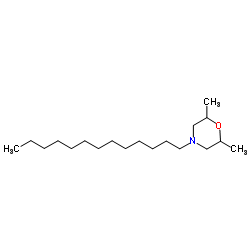 十三吗啉 结构式