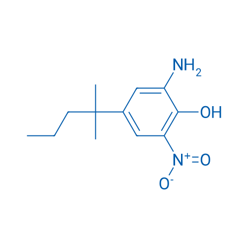 4-特戊基-2-氨基-6-硝基苯酚 结构式