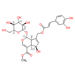 10-O-咖啡酰基去乙酰基交让木苷 结构式