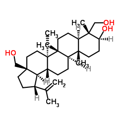 23-羟基桦木醇 结构式