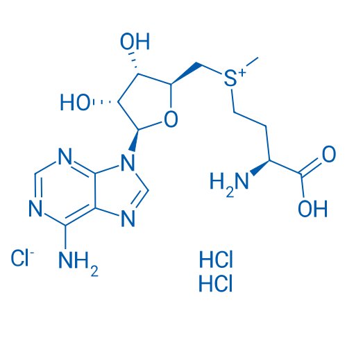 ((S)-3-氨基-3-羧丙基)(((2S,3S,4R,5R)-5-(6-氨基-9H-嘌呤-9-基)-3,4-二羟基四氢呋喃-2-基)甲基)(甲基)锍氯化物二盐酸盐 结构式