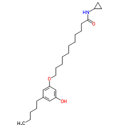 CB-25 结构式