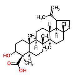 3α-羟基羽扇-20(29)-烯-24-酸 结构式