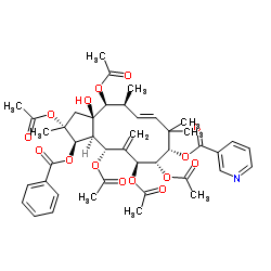 Pepluanin A 结构式