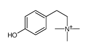 4-羟基-N,N,N-三甲基苯乙铵 结构式