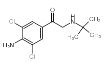 1-(4-氨基-3,5-二氯苯基)-2-[(1,1-二甲基乙基)氨基]乙酮 结构式