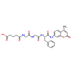戊二酰-甘氨酰-甘氨酰-苯丙氨酸-AMC 结构式