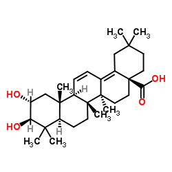 (2α,3β)-2,3-二羟基齐墩果-11,13(18)-二烯-28-酸 结构式