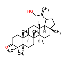30-羟基羽扇-20(29)-烯-3-酮 结构式
