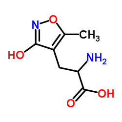 (±)-α-氨基-3-羟基-5-甲基异恶唑-4-丙酸 结构式