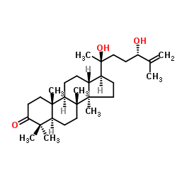 20,24-二羟基达玛-25-烯-3-酮 结构式
