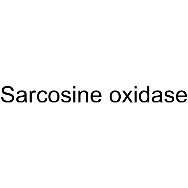 肌氨酸氧化酶 结构式