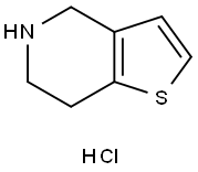 4,5,6,7-四氢噻吩并[3,2-c]吡啶盐酸盐 结构式